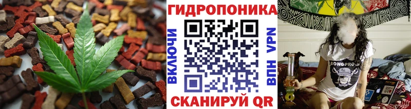 MEGA зеркало  Полярные Зори  Canna-Cookies марихуана 