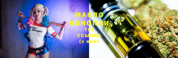 дмт Алексин