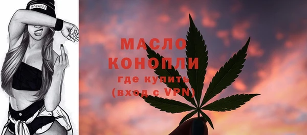 дмт Алексин