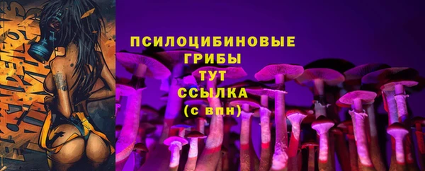 дмт Алексин