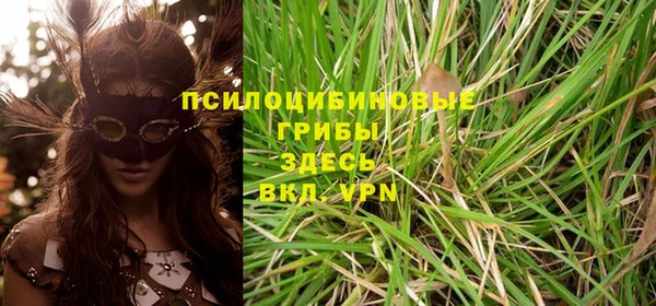 спайс Алзамай